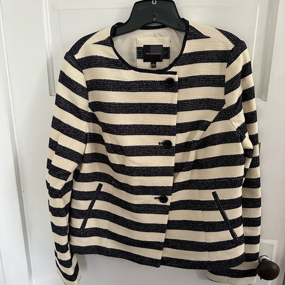 The Limited Size Large Buttoned Blazer